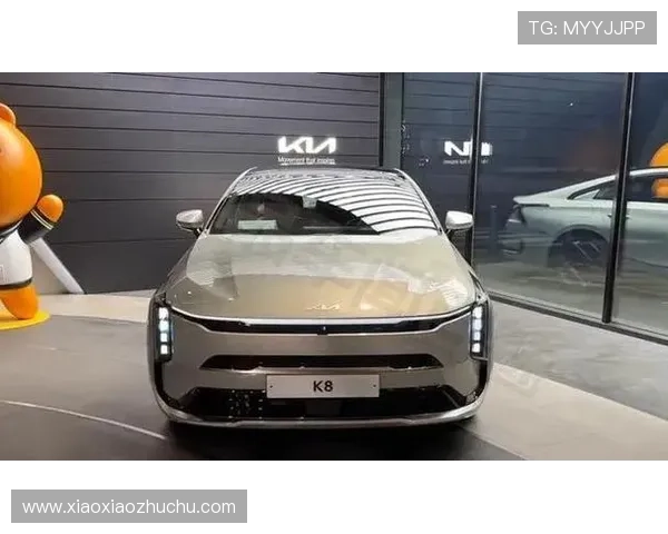 K8真人官方平台的最新技术升级与未来发展趋势展望