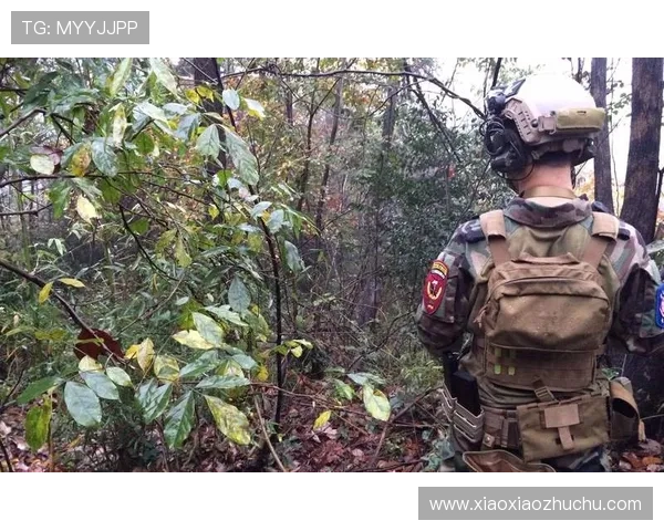 如何快速找到PA真人网页版入口，确保安全稳定的游戏环境